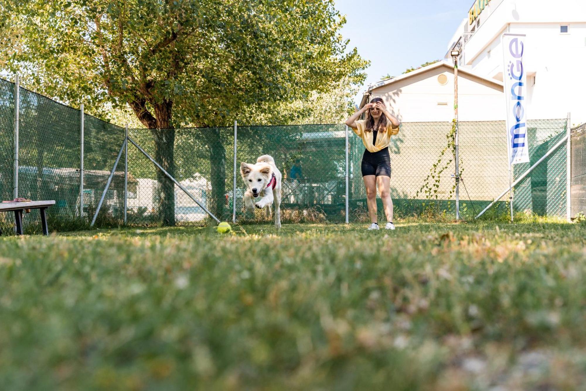 Club Del Sole Riccione Easy Camping Village Exteriör bild